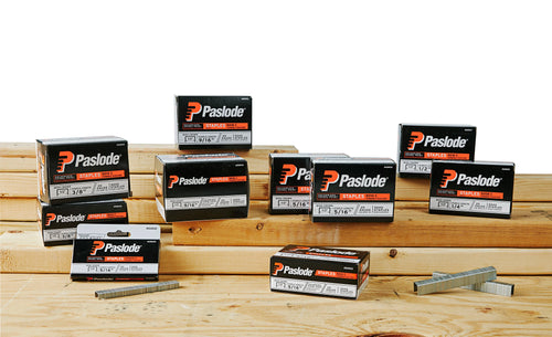 Paslode 20 Gauge Galvanized 1/2 Crown 5000 Series Staples (5/16)